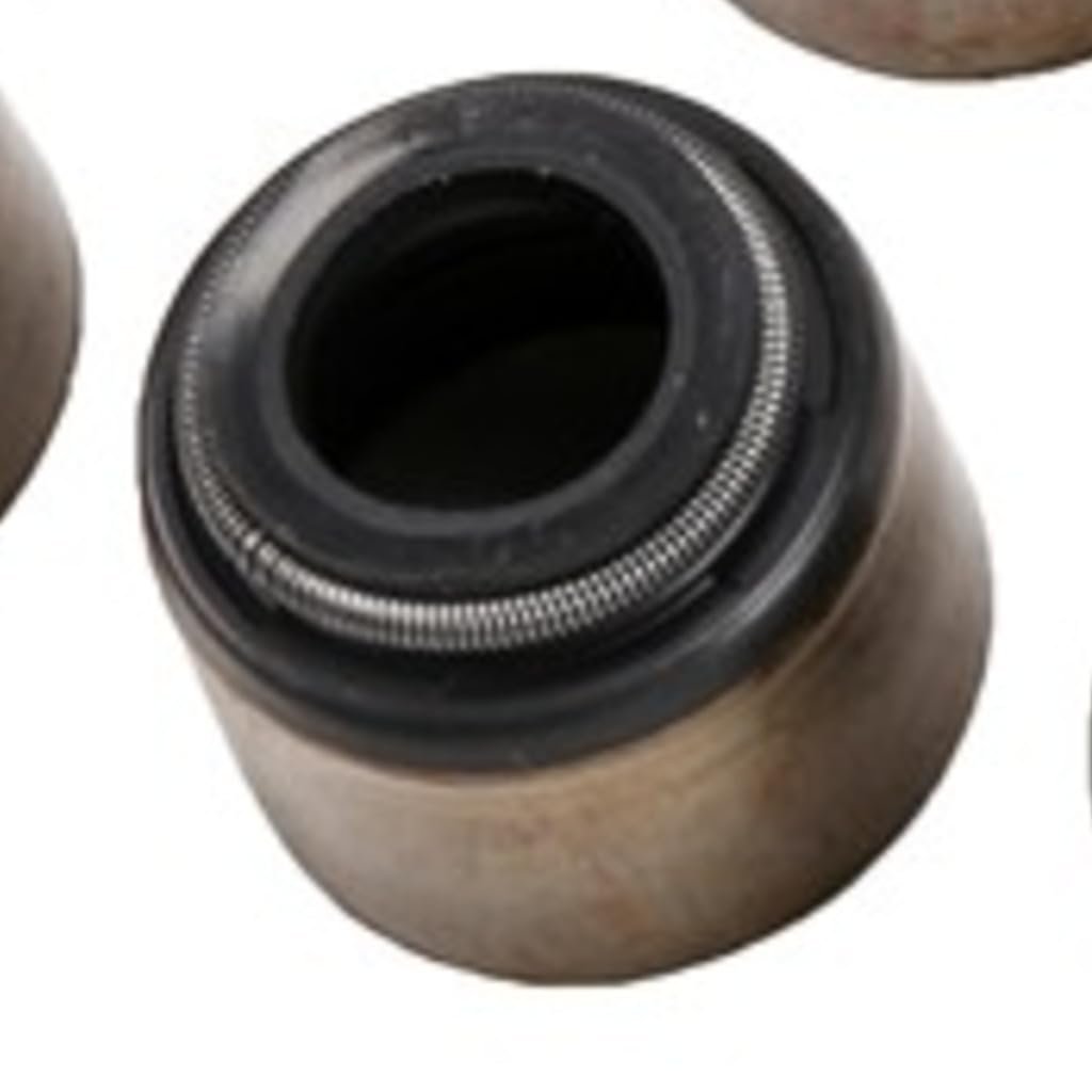 Engine Valve Stem Oil Seal Set For Chevy Silverado 35 2001 Steel And Rubber 0 603 In Outside Diameter 0 496 Thickness