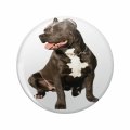 1080 Graphics Dog American Bully Key Chain Double Sided Stainless Steel Keychain 