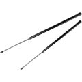 Aintier Automotive Replacement Shock Lift Supports Fit For Volkswagen Beetle 1998-2010