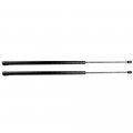 Aintier Automotive Replacement Shock Lift Supports Fit For Volkswagen Beetle 1998-2010