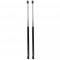 Aintier Automotive Replacement Shock Lift Supports Fit For Volkswagen Beetle 1998-2010