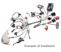 Tdpro Wiring Harness Cdi Coil Magneto Rectifier Light For 50cc 70cc 110cc 125cc Atv Go Karts 4 Wheelers
