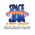 Space Jam A New Legacy Tweety Tow Trailer Hitch Cover Plug Insert