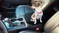 Car Console Covers Plus Hand Designed For Chevy Blazer 2019-2024 Neoprene Auto Armrest Center Cover Protector Black