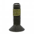 Polaris Rzr Screw 6 Mm X 1 0 20 Genuine Oem Part 75209 Qty Rzr Screw 6 Mm X 1 0 20 Genuine Oem Part 75209 Qty 1