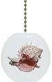 Murex Seashell Ceramic Fan Pull 