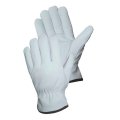 Toledano Industries Work Safe Premium Cut Leather Gloves 24 Medium 