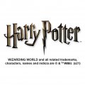 Graphics More Harry Potter The Dark Mark Keychain Spinning Round Chrome Plated Metal