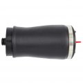 Rear Air Struts Assembly 2pcs Strut Absorber For Bmw X5 2000-2006 Fits 3 0l L6 4l V8 6l And 4 8l Engines 