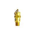 Milton 1090-200 1 4 Safety Valve 