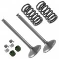 Caltric 2x Exhaust Valve Kit Compatible With Yamaha Yfz450x 2010-2011 5ta-12121-00-00 1aa-12118-00-00