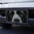 English Springer Spaniel Dog Face Closeup Novelty Metal Vanity Tag License Plate