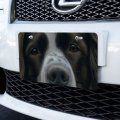 English Springer Spaniel Dog Face Closeup Novelty Metal Vanity Tag License Plate