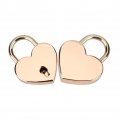 2 Set Heart Shape Padlock Rose Gold Love Padlocks With Key For Luggage Handbag Diary