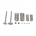 Carbpro Cylinder Head Intake Exhaust Valve Kit For Honda Xr200 Xr200r 1980-2002