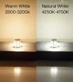 Hqrp 2-pack Ba15s 18 Leds Light Bulb Warm White Replacement For 1141 1156 Fits Casita Jayco Winnebago Minnie Winnie Jamboree