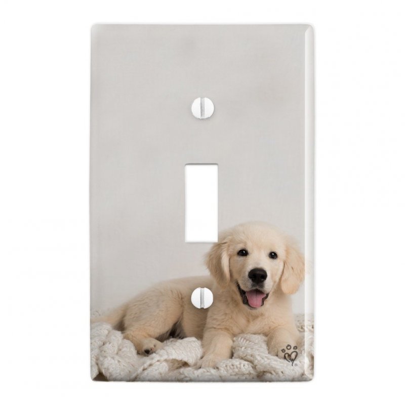 Golden Retriever Puppy Dog And Blanket Plastic Wall Decor Toggle Light Switch Plate Cover