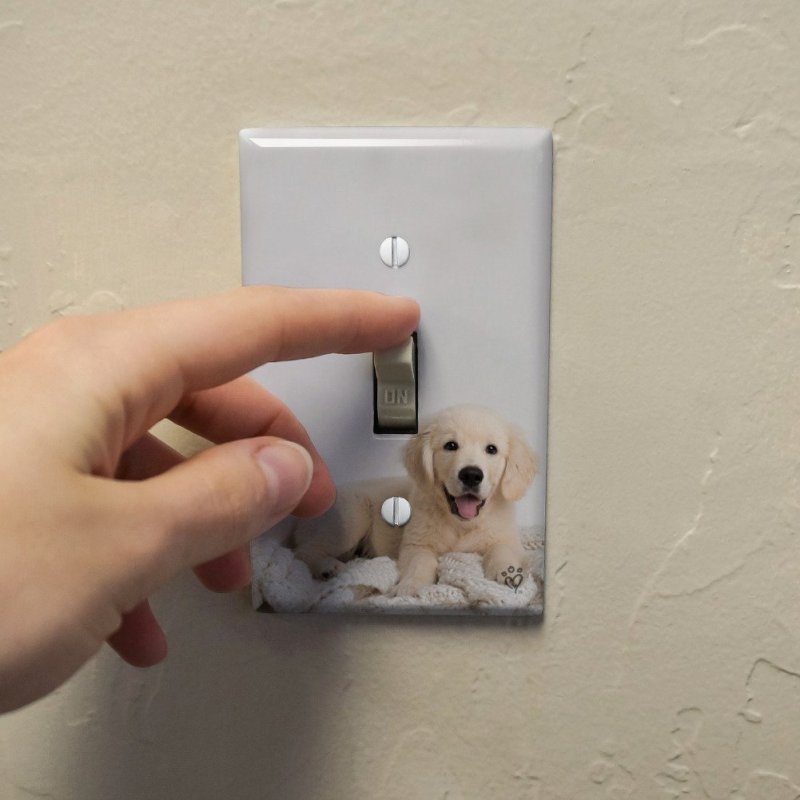 Golden Retriever Puppy Dog And Blanket Plastic Wall Decor Toggle Light Switch Plate Cover