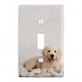 Golden Retriever Puppy Dog And Blanket Plastic Wall Decor Toggle Light Switch Plate Cover 