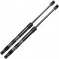 A-premium Rear Tailgate Lift Supports Shock Struts Compatible With Nissan Armada Platinum 2017-2018 Sl Sv 5 6l Sport Utility