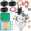 16100-z8b-871 Carburetor For Honda Hrr2165vka Hrr2166vka Hrr2167vka Hrr2168pka Hrr2168vka Hrr2168vya Hrr2169vya Hrr2169vla 
