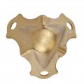 Brass Plated Small Trunk Corner Protector Furniture Guard Hardware For Steamer Jewelry Box Desk Chest Others Tkc-31 4 