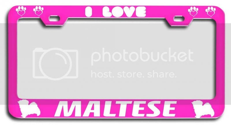 I Love Maltese Dogs Metal License Plate Frame Tag Holder Heavy Duty Stainless Steel Universal Fit For Car Suv Truck 12 5 X 6 In