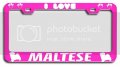 I Love Maltese Dogs Metal License Plate Frame Tag Holder Heavy Duty Stainless Steel Universal Fit For Car Suv Truck 12 5 X 6 In 