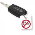 Pack Of 250 No Smoking Reminder Key Fobs Double Sided Rental And Loaner Vehicle Dealership Tags Durable Polyethylene Square 