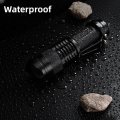 Pocketman One Mode Led Blacklights Flashlight 300lm 396nm Ultraviolet For Detecting Pet Dog Stains Checking Passport Money 3