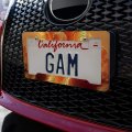 Phoenix Rising From The Flames License Plate Tag Frame
