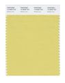 Pantone Smart 14-0636x Color Swatch Card Muted Lime 