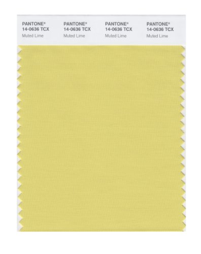 Pantone Smart 14-0636x Color Swatch Card Muted Lime