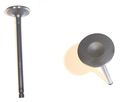 Dnj Engine Components Iv607 Valves Intake 