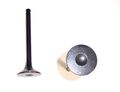 Dnj Engine Components Ev300 Exhaust Valve 