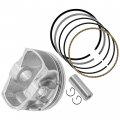Caltric Cylinder Piston Kit With Rings Compatible Polaris
