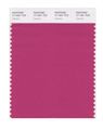 Pantone Smart 17-1831x Color Swatch Card Carmine 