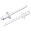 50pcs 1 4 X3 8 Round Head Blind Rivets Zinc-plated Carbon Steel Grip And Mandrel Cap White 