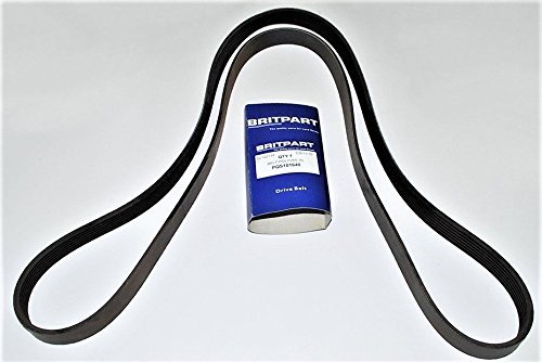 Alternator Fan Serpentine Drive Belt For V8efi Non Air Conditioning Models Land Rover Range P38 V8 4 0 6 1999-2002 Model Part