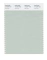 Pantone Smart 13-5305x Color Swatch Card Pale Aqua 