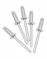 Stainless Steel Blind Rivets 500 Pcs 3 16 X 1 2 Pop