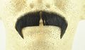 Winchester Mustache Black Spirit Gum Included No 2028 Realistic 100 Human Hair Perfect For Theater Reusable 