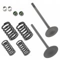 Caltric Valve Intake And Exhaust With Gaskets Kit Compatible Honda Rancher Trx420 Fe Te Fm Tm 2007-2008