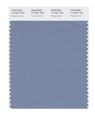Pantone Smart 17-4021x Color Swatch Card Faded Denim 