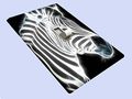 Zebra Illumination Decorative Switchplate Cover 