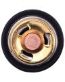 Fridayparts Thermostat Dz120917 Dz100555 Re522076 Compatible For John Deere Engine 4045 6068 6081 6090 Windrower D450 R450