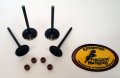 Kibblewhite Black Diamond Intake Exhaust Valves Kit Suzuki Drz400 Ltz400 60-60050 60-60053 