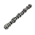 Jdmspeed New Engine Camshaft 12625437 Replacement For Gm Truck Van Various 4 8l 5 3l 2007-2017