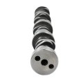 Jdmspeed New Engine Camshaft 12625437 Replacement For Gm Truck Van Various 4 8l 5 3l 2007-2017