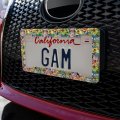 Tropical Rainforest Tree Frog Pattern License Plate Tag Frame